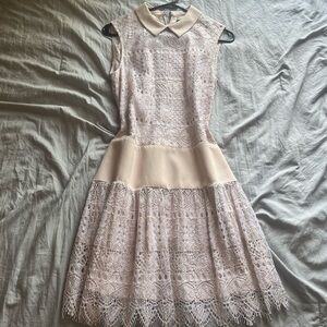 BCBGMaxAzria Pink Fit and Flare Midi Dress with Peter Pan Collar